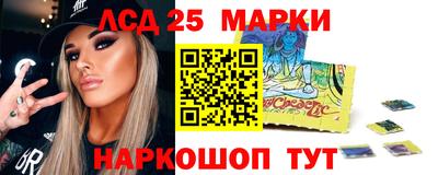 шишки Кандалакша