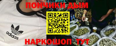 шишки Кандалакша