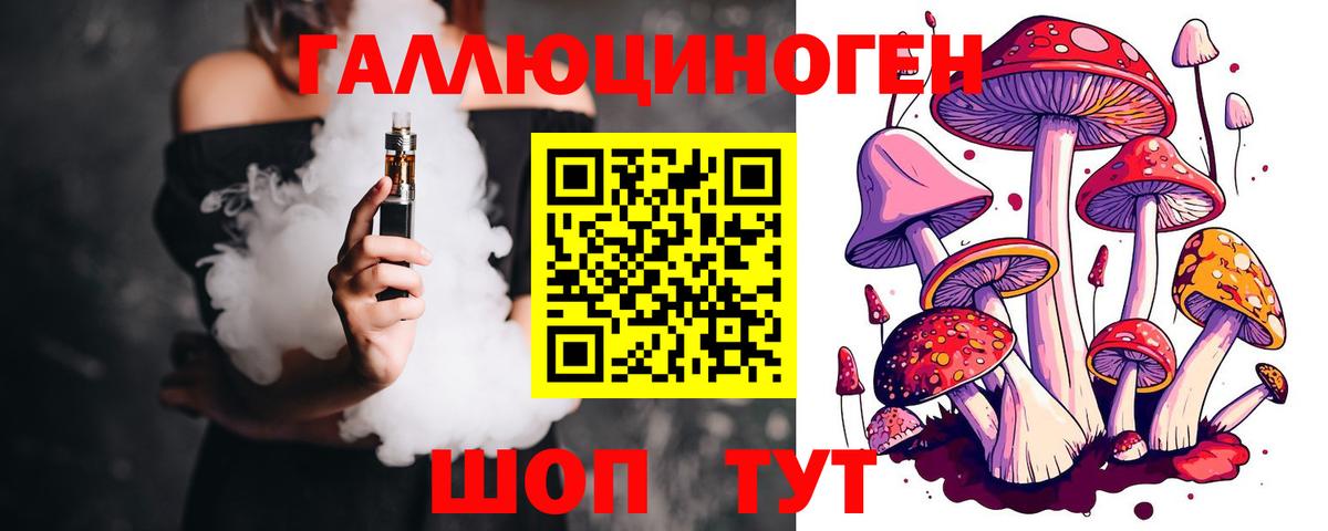 Галлюциногенные грибы Psilocybine cubensis Ленинск-Кузнецкий