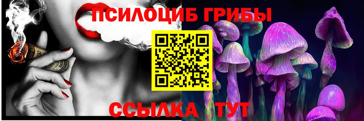 МЕФ Ленинск-Кузнецкий